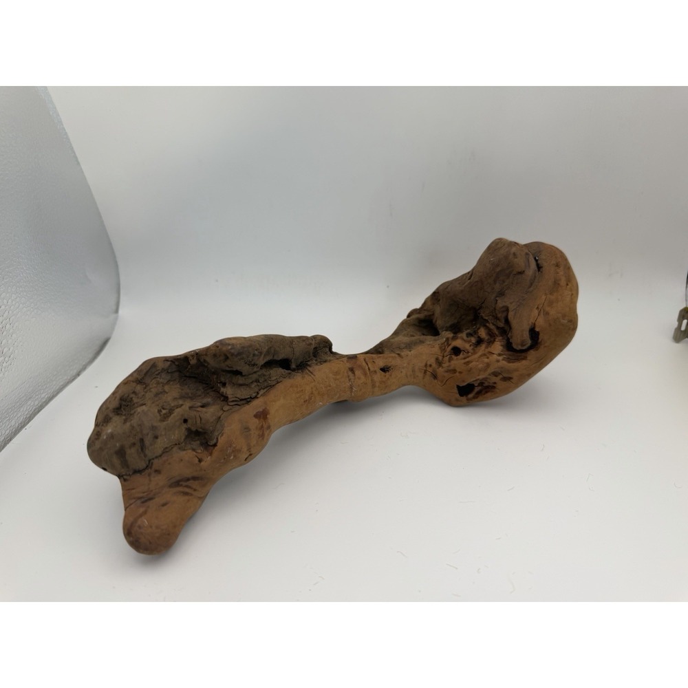 Natural Burl Root Wood Abstract Sculpture Organic Driftwood Art Decor